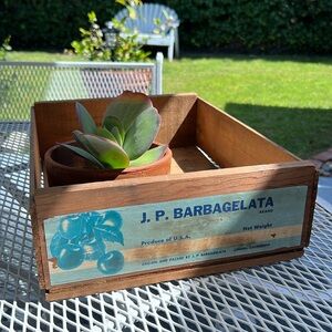 VTG | Wooden Cherries 🍒 Crate